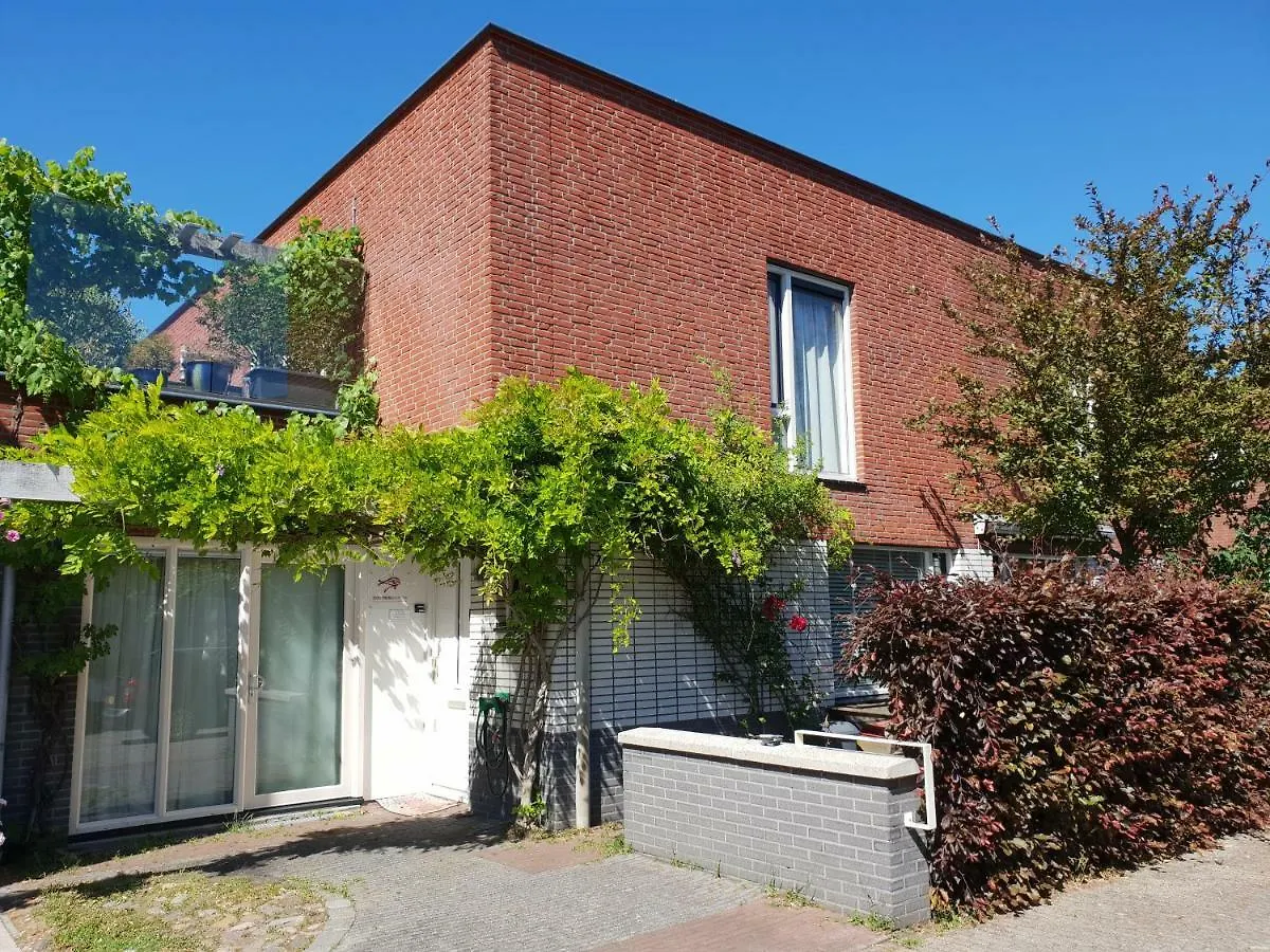 Johan'S B&B With Roofterrace And Cheap Parking - Since 2014 0*, Amsterdam Netherlands